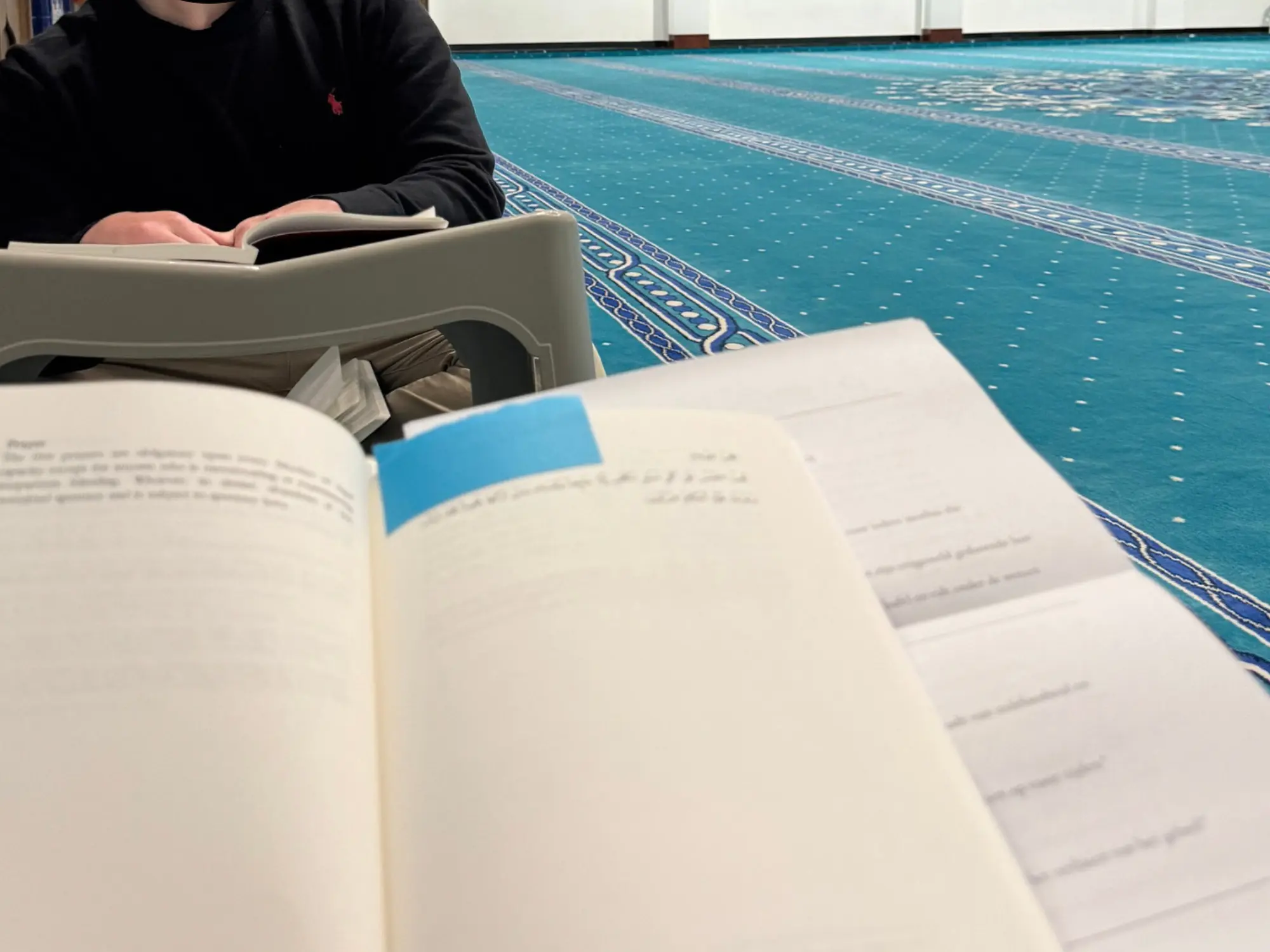 Sakaleyn Yolu Haarlem